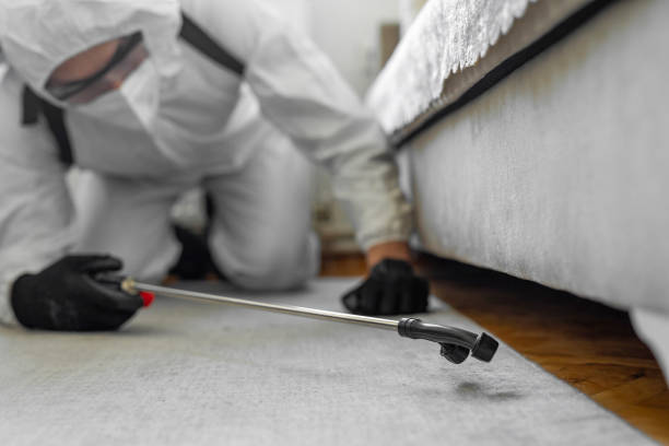 Professional Pest Control technician working in Vienna, VA