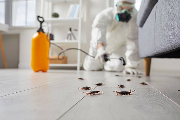 Trusted Cockroach Control service in Vienna, VA - Nex Pest Control