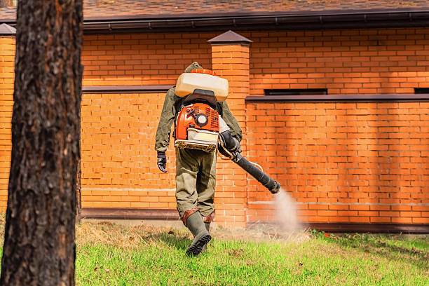 Trusted Emergency Pest Control service in Vienna, VA - Nex Pest Control